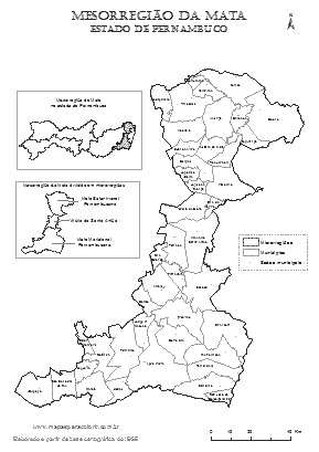 Mapa da Mesorregião da Mata Pernambucana com microrregiões, municípios e localização no estado.